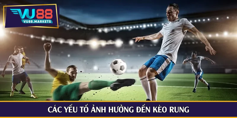 Các yếu tố ảnh hưởng đến kèo rung