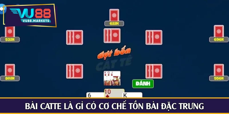 Bài catte là gì có cơ chế tồn bài đặc trưng