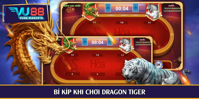 Bí kíp khi chơi Dragon Tiger